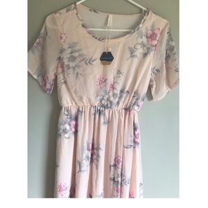 Pinkblush Maternity Maxi Dress